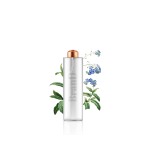 گلدان آپارتمانی ورزیا زبرا - تصویر 3