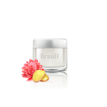 گل آپارتمانی فیکوس الاستیکا بلک - تصویر 3